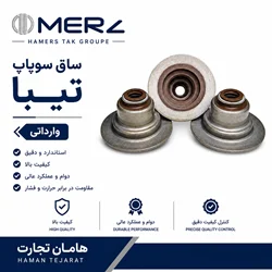 کاسه نمد ساق سوپاپ تیبا